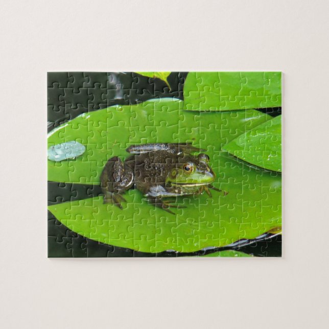 Bullfrog on Lilypads Jigsaw Puzzle (Horizontal)