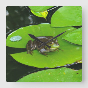 Bullfrog on Lilypads Square Wall Clock