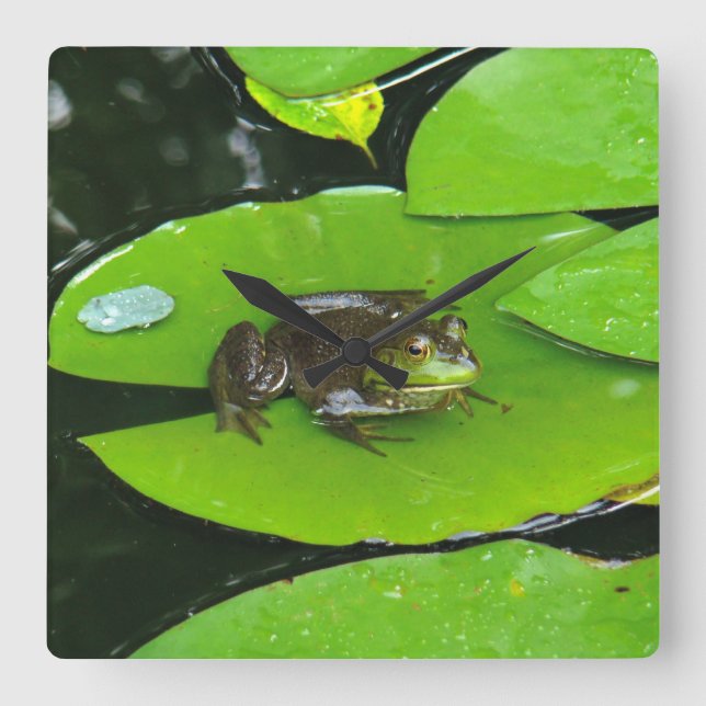 Bullfrog on Lilypads Square Wall Clock (Front)