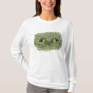 Bullfrog, Rana catesbeiana, adult in duckweed T-Shirt