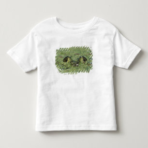 Bullfrog, Rana catesbeiana, adult in duckweed Toddler T-Shirt
