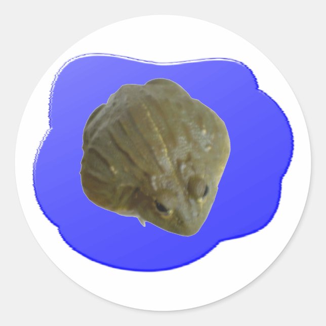 Bullfrog Sticker (Front)