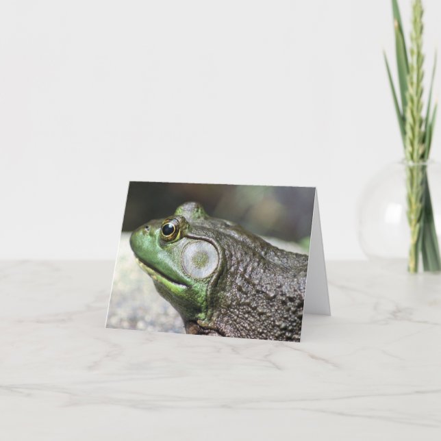 Bullfrog Thoughts Nature Photography Note Card (Front)