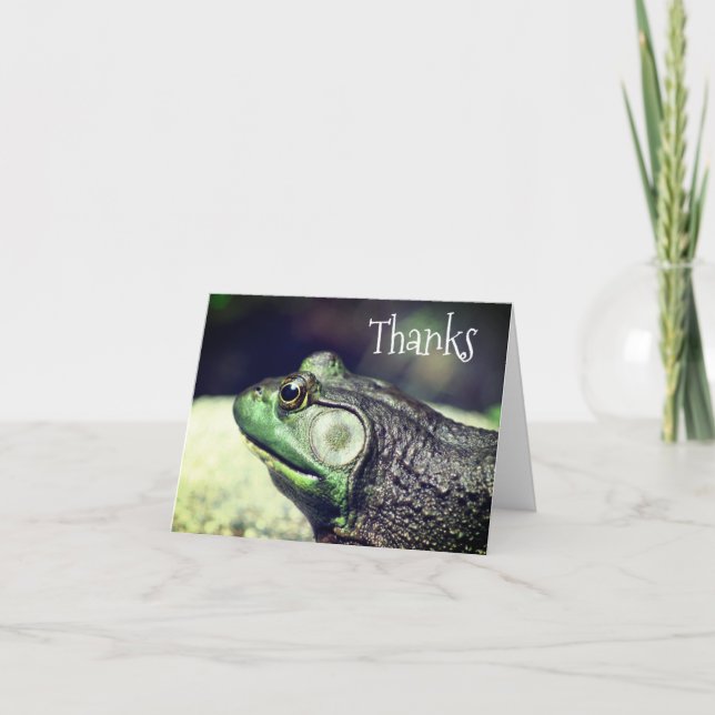 Bullfrog Thoughts Nature Thank You Card (Front)