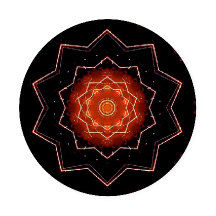 BullmasterGardian Coaster Set