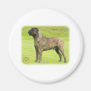 Bullmastiff 9R071D-077 Magnet