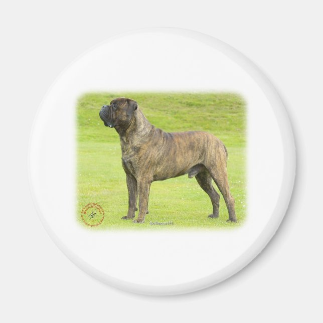 Bullmastiff 9R071D-077 Magnet (Front)