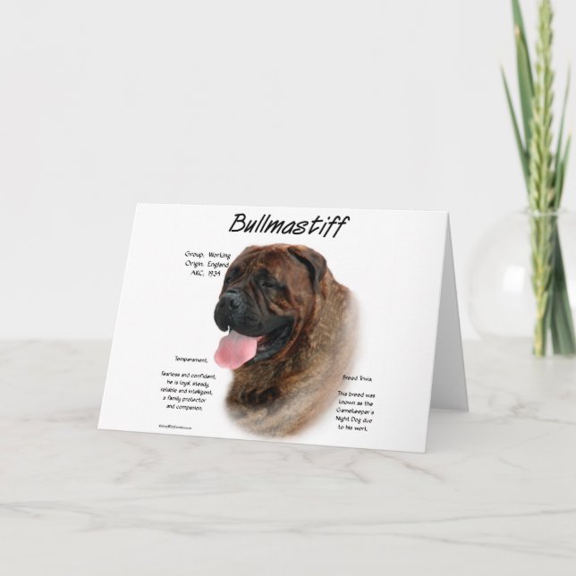 Bullmastiff (brindle) History Design Holiday Card (Front)