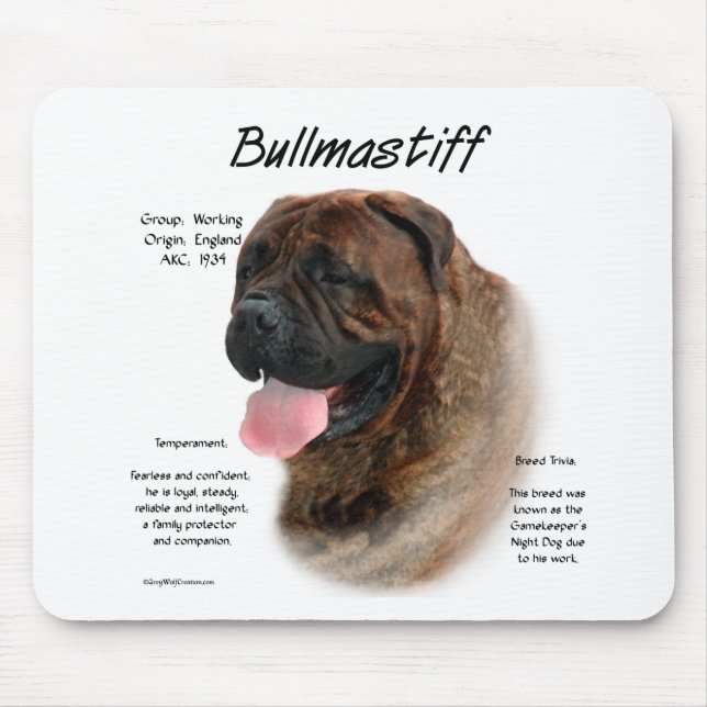 Bullmastiff (brindle) History Design Mouse Pad (Front)