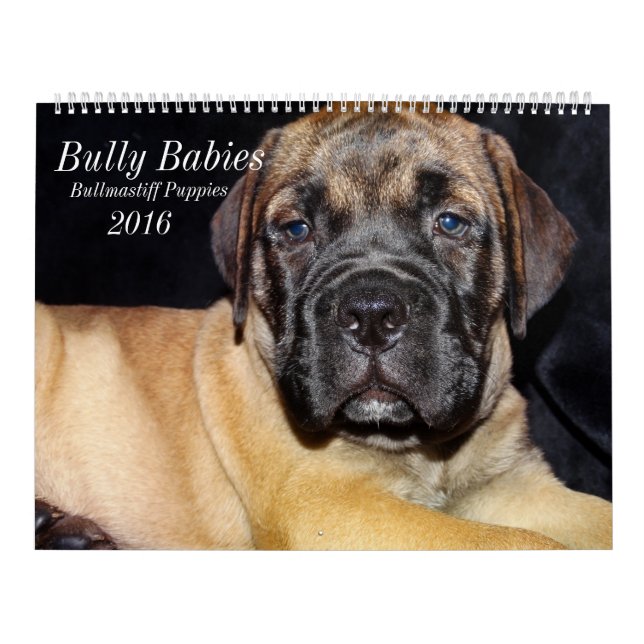 Bullmastiff Calendar 2016 (Cover)