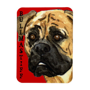 Bullmastiff Colour Block Magnet