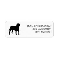 Bullmastiff Dog Walker Trainer Puppy sitting 