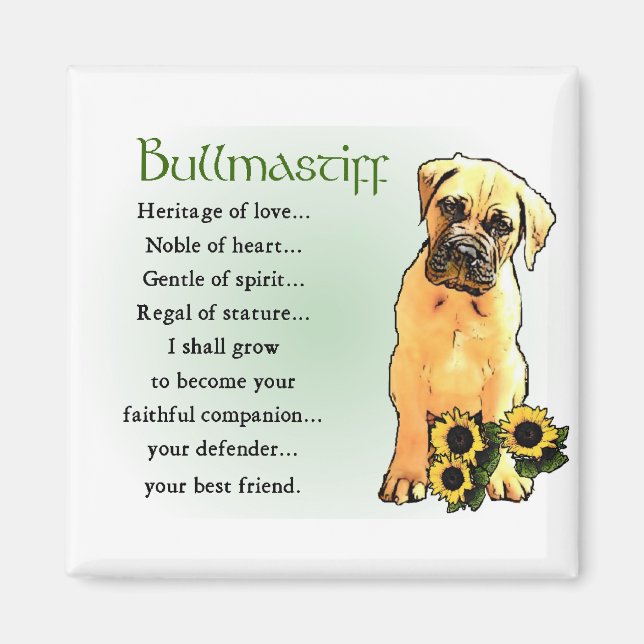 Bullmastiff Gifts Magnet (Front)