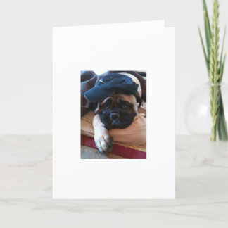 Bullmastiff I'm Sorry card or Invitation