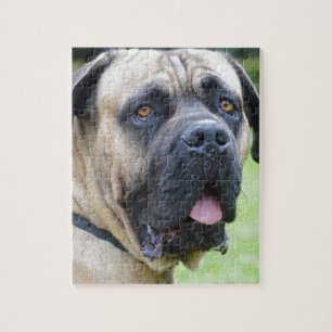 Bullmastiff Jigsaw Puzzle