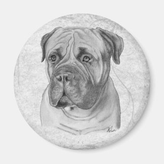 Bullmastiff Magnet