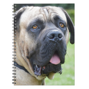 Bullmastiff Notebook