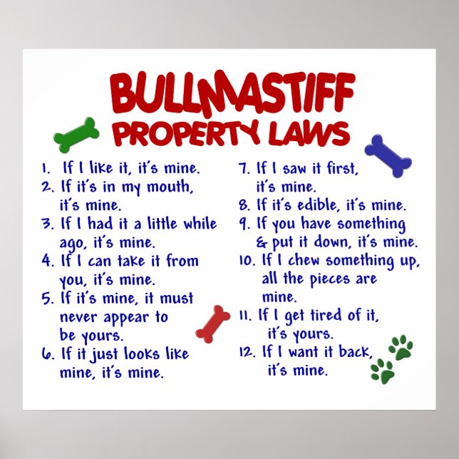 BULLMASTIFF PL2 POSTER (Front)