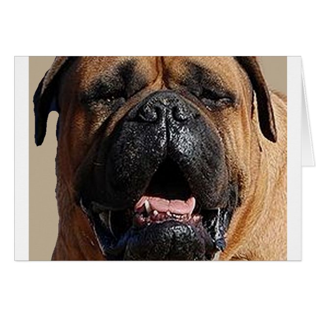 bullmastiff.png (Front Horizontal)