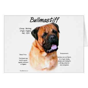 Bullmastiff (red) History Design
