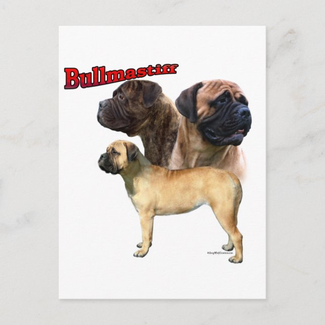 Bullmastiff Trio 2 Postcard (Front)