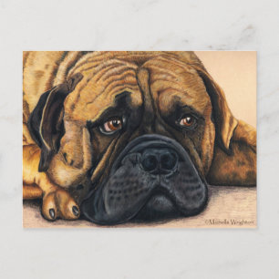 Bullmastiff Waiting - Dog Breed Art Postcard