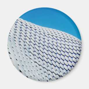 Bullring Magnet
