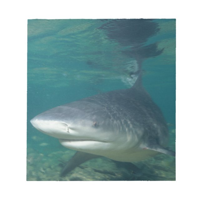 Bullshark Notepad (Front)