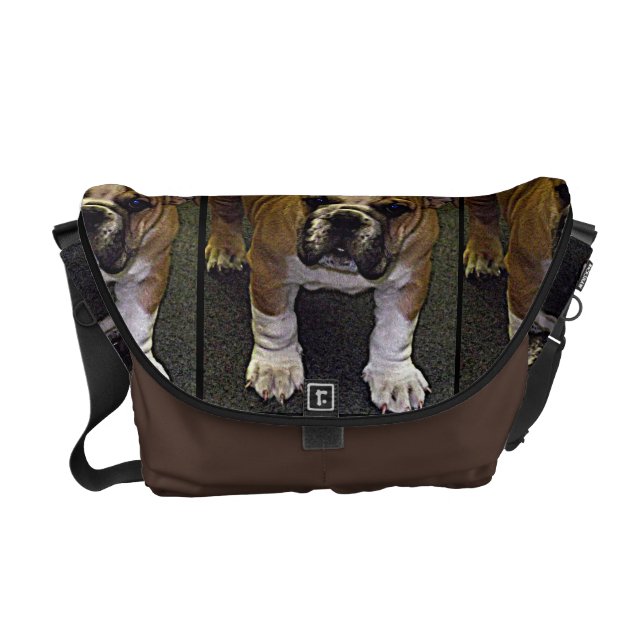 Bully! Adorable English Bulldog Puppy Courier Bag (Front)