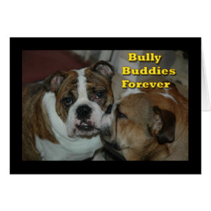 bully buddies