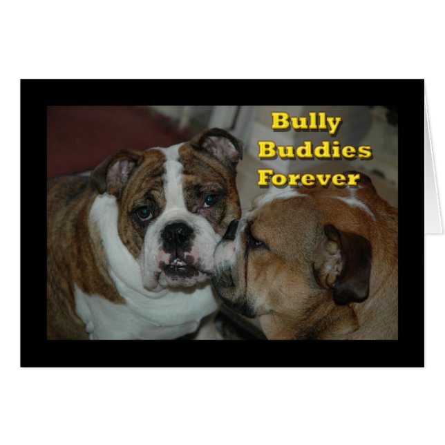 bully buddies (Front Horizontal)