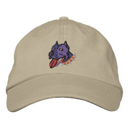 Bully Cap