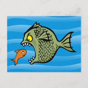 Bully Fish Postcard