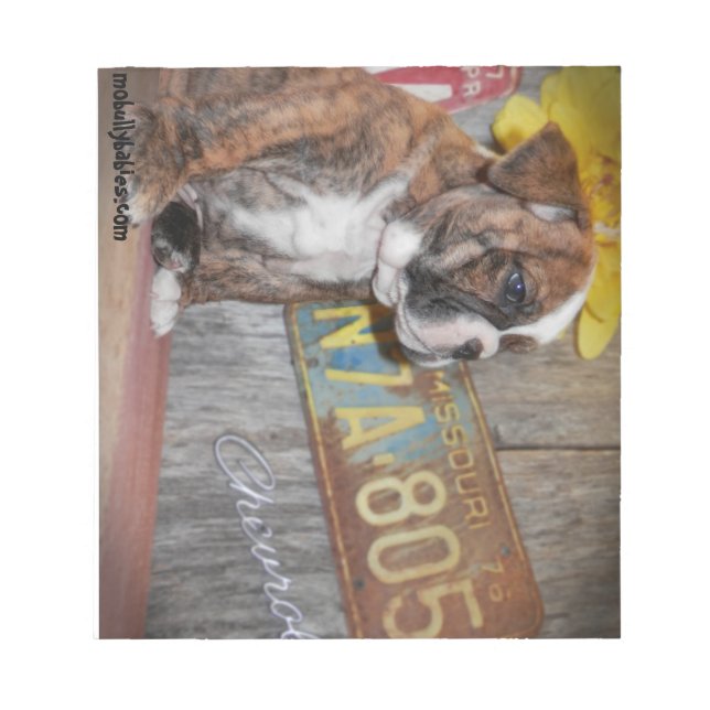 Bully Love Bulldog Notepad (Front)