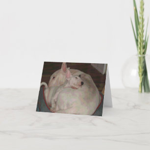 Bully momma and son card