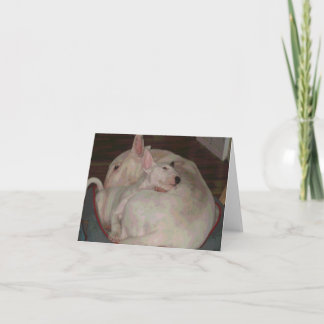 Bully momma and son card