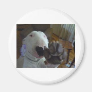 bully paw magnet