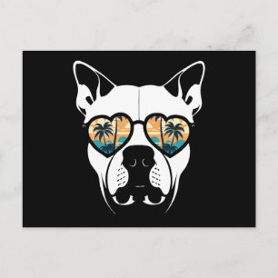 bully summer vibes postcard