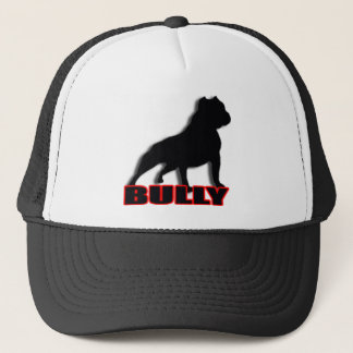 BULLY TRUCKER HAT