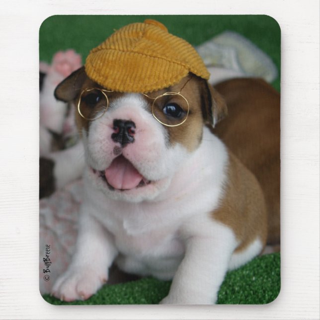 BullyBreeze - Chill - Chillin' Out - Mousepad (Front)