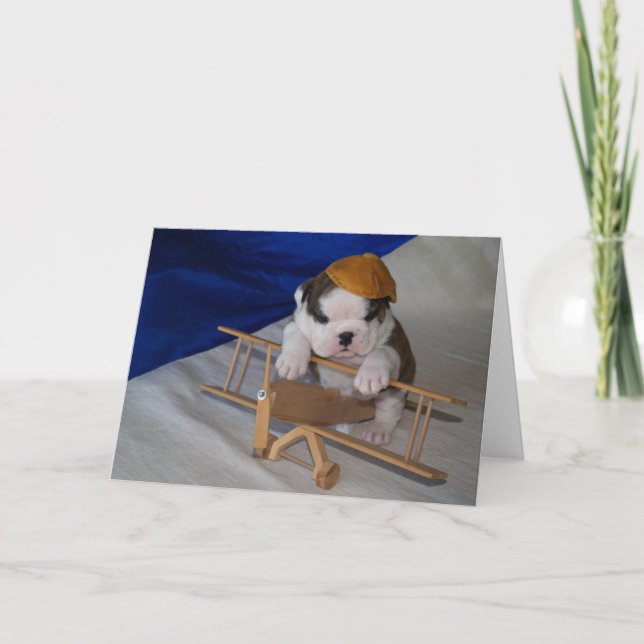 BullyBreeze - Pania - Aviator - Greeting Card (Front)