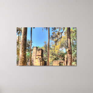 Bulow Plantation Ruins, Florida Canvas Print