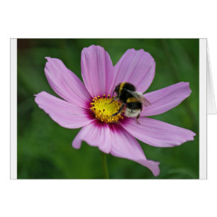 bumble bee
