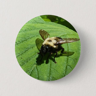 Bumble Bee 6 Cm Round Badge