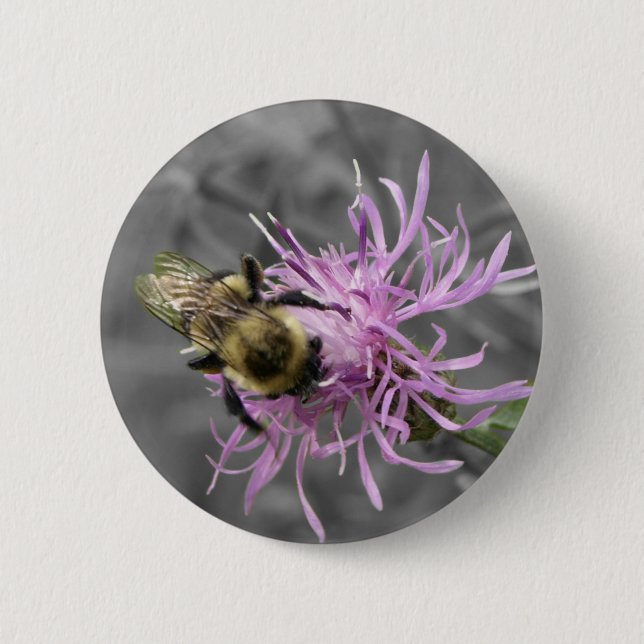 Bumble Bee 6 Cm Round Badge (Front)