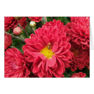 Bumble Bee and Pink Flower Blank Card