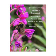 Bumble Bee Bible Verse - Postcard
