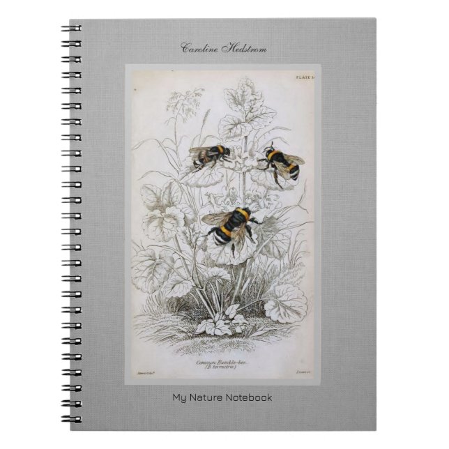 Bumble Bee Botanical on Linen Notebook (Front)