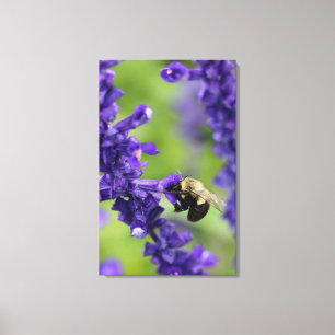 Bumble Bee Canvas Print