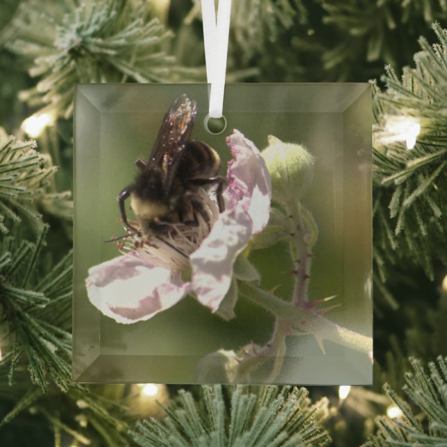 Bumble Bee collecting pollen Glass Ornament (Insitu)